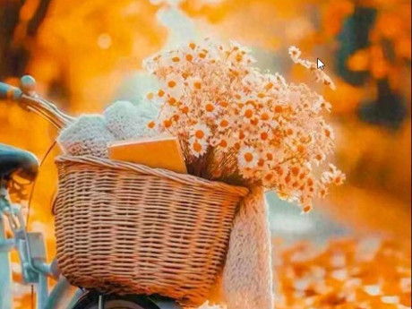 20 việc nhỏ giúp "vận khí" của bạn ngày càng hưng vượng