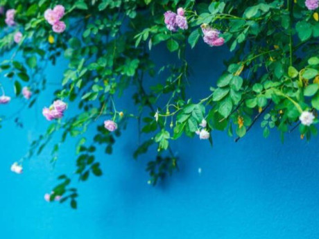 Eva tám - Người càng may mắn, có nhiều phước lành thường sở hữu 3 đặc điểm này