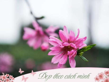 Phụ nữ sở hữu 4 thói quen này càng sống càng khí chất