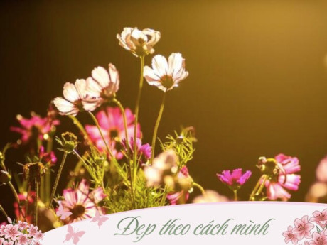 Con át chủ bài của phụ nữ không phải dịu dàng mà là 1 chữ này