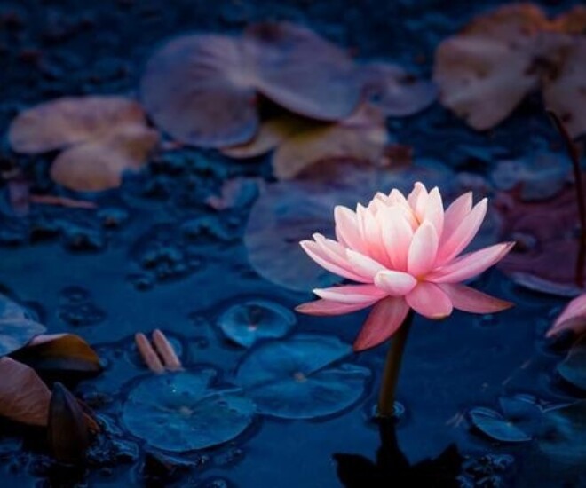 Khi trò chuyện với người khác, bớt nói 3 điều này, phúc khí sẽ ngày càng dày sâu - 1