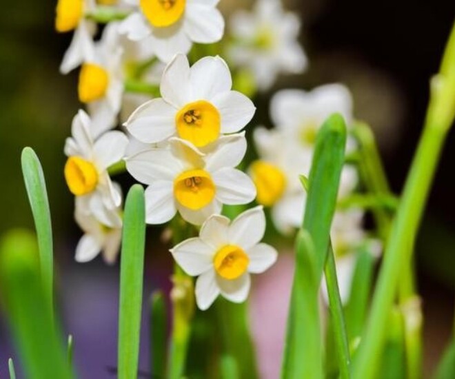 Khi trò chuyện với người khác, bớt nói 3 điều này, phúc khí sẽ ngày càng dày sâu - 2