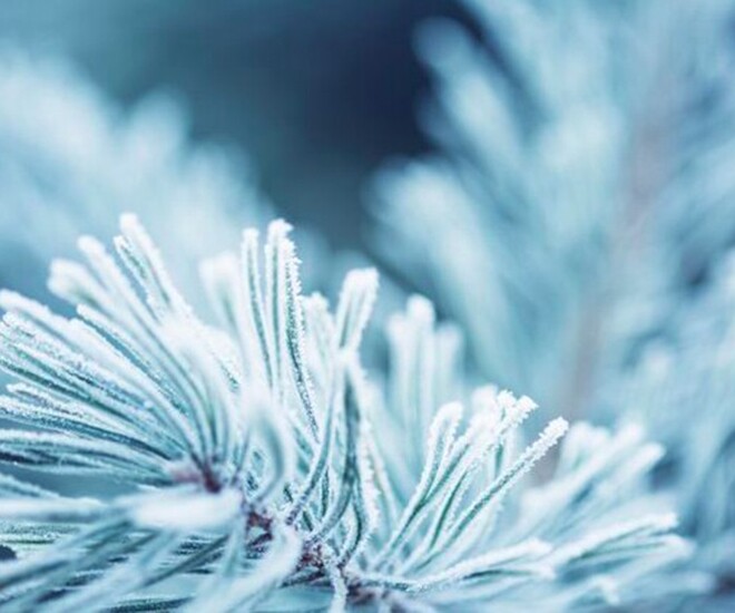 Khi về già, 3 amp;#34;cứu cánhamp;#34; này còn quan trọng hơn cả tiền tiết kiệm - 1