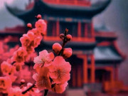 Eva tám - Người nội tâm mạnh mẽ có 3 điều "không quản": Càng buông bỏ, vận mệnh càng tốt đẹp