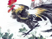 Eva tám - 4 con giáp đón mưa tài lộc, đổi vận bất ngờ trong năm 2026