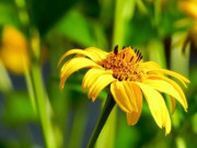 Eva tám - 4 kiểu người thường mang lại vận rủi, quan hệ tốt đến mấy cũng đừng kết thân