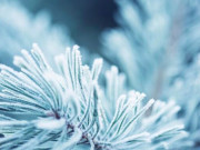 Eva tám - Khi về già, 3 "cứu cánh" này còn quan trọng hơn cả tiền tiết kiệm