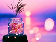 Eva tám - Người biết cư xử như này, không ai dám lợi dụng, thao túng