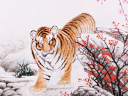 Eva tám - 3 con giáp lúc trẻ khó khăn, trung niên đổi vận, giàu sang bất chấp