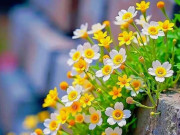 Eva tám - Phụ nữ biết kín tiếng trong 3 việc này chứng tỏ không đơn giản, cực khôn ngoan và sáng suốt