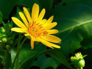 Phụ nữ có tâm thái tốt luôn giữ 3 thói quen này, chỉ cần có 1 điều thôi đã rất tuyệt vời