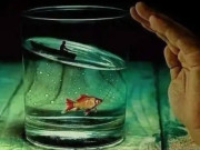 Eva tám - Trắc nghiệm tâm lý: Ai sẽ là quý nhân của cuộc đời bạn?