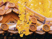 Eva tám - 5 dấu hiệu vận may sắp gõ cửa: Bạn có được mấy phần?