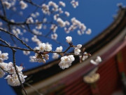 Eva tám - Không phải tiền bạc hay quyền lực, có 2 điều này chứng tỏ bạn thực sự giàu có