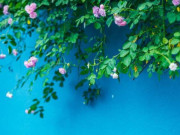 Eva tám - Người càng may mắn, có nhiều phước lành thường sở hữu 3 đặc điểm này