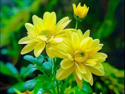 Eva tám - Ở đời, càng bớt bận tâm, bạn càng nhận được nhiều phúc khí