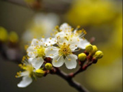 Eva tám - 4 câu nói này chính là cách tốt nhất để nhìn thấu một người, rất chuẩn xác