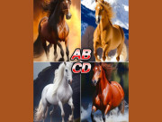 Eva tám - Trắc nghiệm tâm lý: Con ngựa nào thu hút bạn từ cái nhìn đầu tiên?