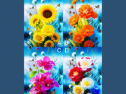 Eva tám - Trắc nghiệm tâm lý: Bạn sẽ chạm đến đỉnh cao nhờ yếu tố nào?