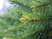 Eva tám - Trí tuệ cảm xúc cao thực sự không nằm ở sự khéo léo, mà gói gọn trong 3 điều này