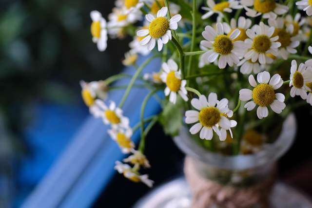 Muốn nhìn thấu một người, nhớ lấy 4 câu nói này - 2