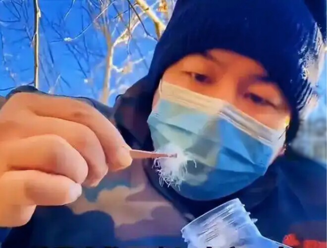 Có những ngày, anh Li ngồi liên tục suốt 4 tiếng đồng hồ để nhặt lông ngỗng. 