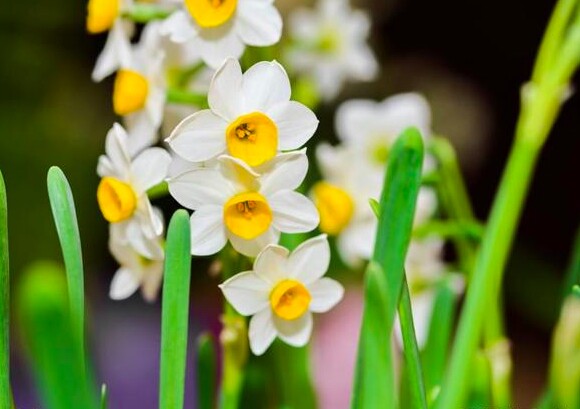 Người khiêm tốn trong 3 điều này thường không đơn giản, rất khôn ngoan và bản lĩnh - 2