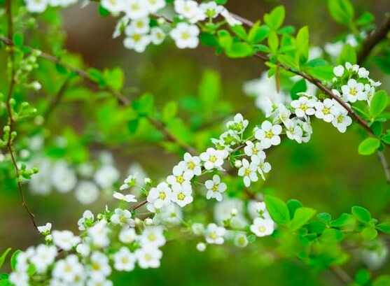 Người khiêm tốn trong 3 điều này thường không đơn giản, rất khôn ngoan và bản lĩnh - 3