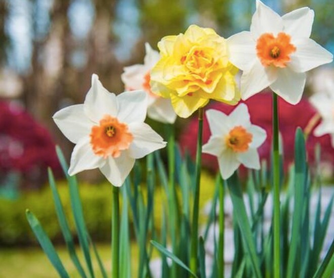 Người khiêm tốn trong 3 điều này thường không đơn giản, rất khôn ngoan và bản lĩnh - 1