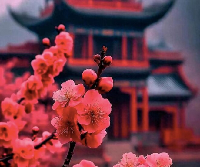 Người nội tâm mạnh mẽ có 3 điều amp;#34;không quảnamp;#34;: Càng buông bỏ, vận mệnh càng tốt đẹp - 1