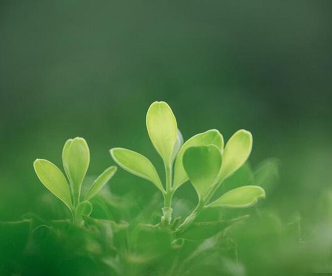 Người thực sự thông minh không đăng 4 thứ này lên mạng xã hội - 1