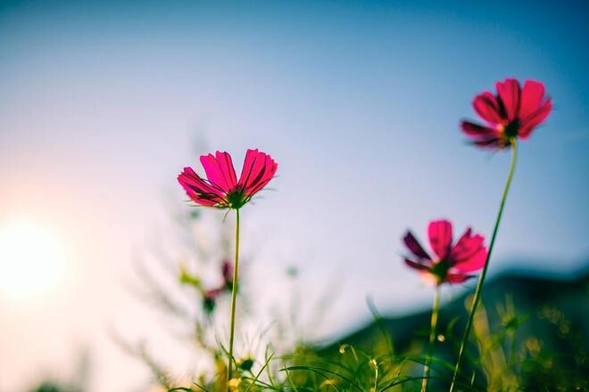 Người trí tuệ cảm xúc cao không nói 3 chuyện riêng tư này, kẻ dại gặp ai cũng kể - 2