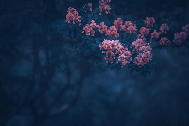 Người trí tuệ cảm xúc cao không nói 3 chuyện riêng tư này, kẻ dại gặp ai cũng kể - 3