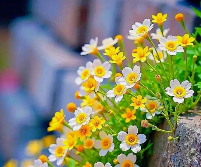 Phụ nữ biết kín tiếng trong 3 việc này chứng tỏ không đơn giản, cực khôn ngoan và sáng suốt - 1