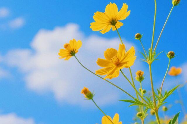 Phụ nữ biết kín tiếng trong 3 việc này chứng tỏ không đơn giản, cực khôn ngoan và sáng suốt - 2