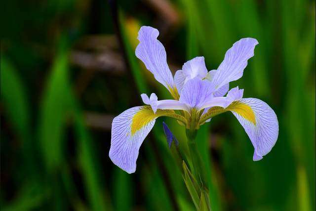 Phụ nữ có tâm thái tốt luôn giữ 3 thói quen này, chỉ cần có 1 điều thôi đã rất tuyệt vời - 2