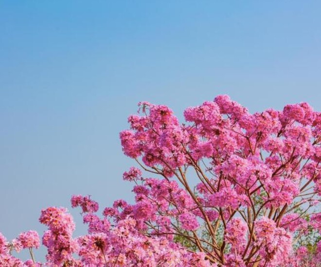 Phụ nữ sở hữu 4 thói quen này càng sống càng khí chất - 3
