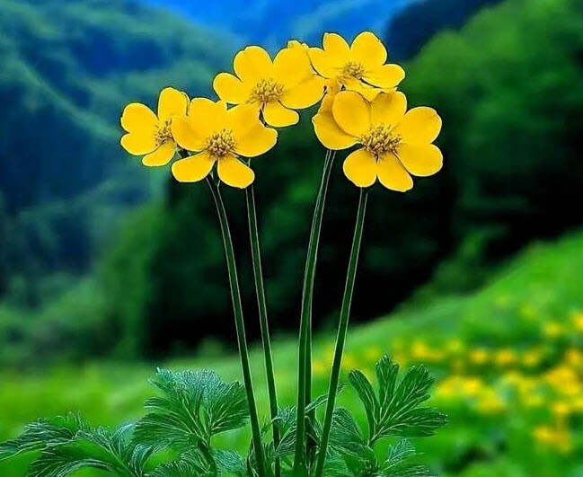 Quan hệ tốt đến mấy cũng phải nhớ 3 amp;#34;quy tắc ngầmamp;#34; này: Đây không phải tuyệt tình, mà là thông minh - 2