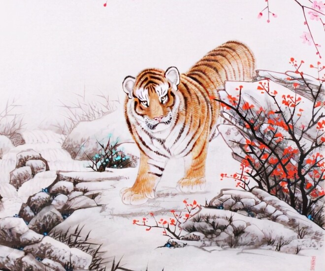 Tử vi tuần mới 12-18/1: Dần tràn ngập tin vui, Tý có quý nhân dẫn lối - 1