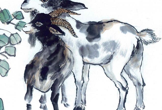 Tử vi tuần mới 26/1-1/2: Sửu có thu nhập bất ngờ, Mùi nhớ giữ chặt ví - 3