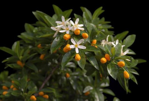 Với người giúp bạn, đừng chỉ mời cơm hay tặng quà, hãy học 3 cách báo đáp sâu sắc này - 3