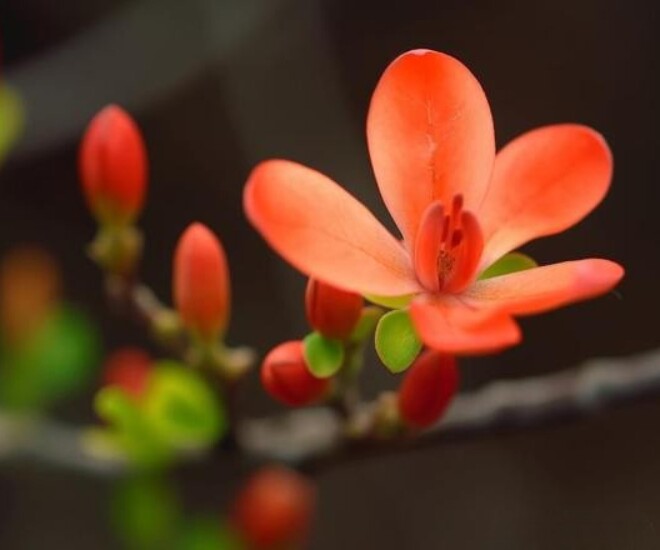 Với phụ nữ, cách amp;#34;khoeamp;#34; giàu thầm lặng nhất chỉ gói gọn trong 6 chữ này - 1