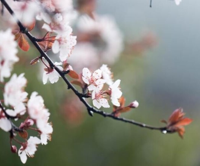 Với phụ nữ, cách amp;#34;khoeamp;#34; giàu thầm lặng nhất chỉ gói gọn trong 6 chữ này - 2