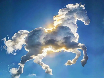 Trắc nghiệm tâm lý: Đâu là điểm tựa vững chắc nhất của bạn khi về già?