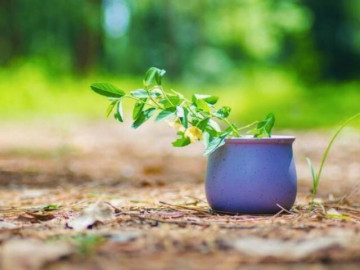 Eva tám - Người mang lại cho bạn 3 cảm giác này, sớm rời xa chính là khôn ngoan nhất!