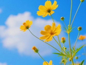 Eva tám - Sở hữu 3 đặc điểm này, 9 phần 10 là người may mắn