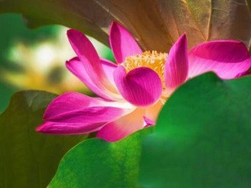 Eva tám - Qua tuổi 60: Có 3 thứ này trong tay, tuổi già không còn lo lắng