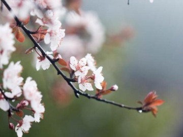 Eva tám - Người thực sự thông minh không đăng 4 thứ này lên mạng xã hội