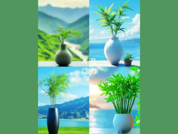 Eva tám - Trắc nghiệm tâm lý: Động lực kiếm tiền năm 2026 của bạn đến từ đâu?