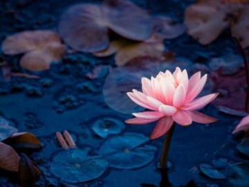 Eva tám - Khi trò chuyện với người khác, bớt nói 3 điều này, phúc khí sẽ ngày càng dày sâu